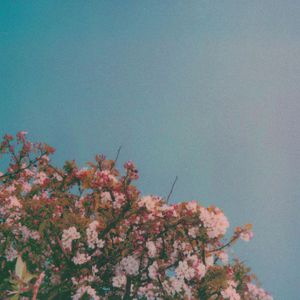 裸体军人无删减版播放
